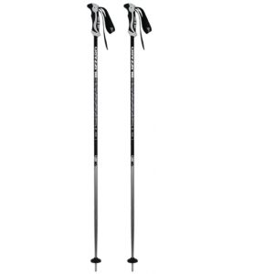 BLIZZARD-Allmountain ski poles, silver Šedá 110 cm 2020