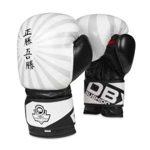 BUSHIDO Boxerské rukavice DBX B-2v8 - 10oz